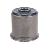 Trailing Arm Bushing