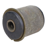 Trailing Arm Bushing