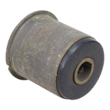 Trailing Arm Bushing