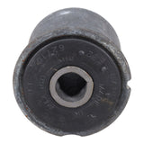 Trailing Arm Bushing