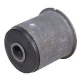 Trailing Arm Bushing