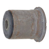 Trailing Arm Bushing