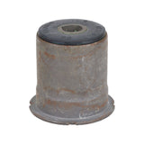 Trailing Arm Bushing