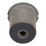 Trailing Arm Bushing