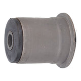 Trailing Arm Bushing