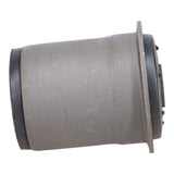 Trailing Arm Bushing