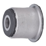 Trailing Arm Bushing