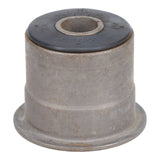 Trailing Arm Bushing