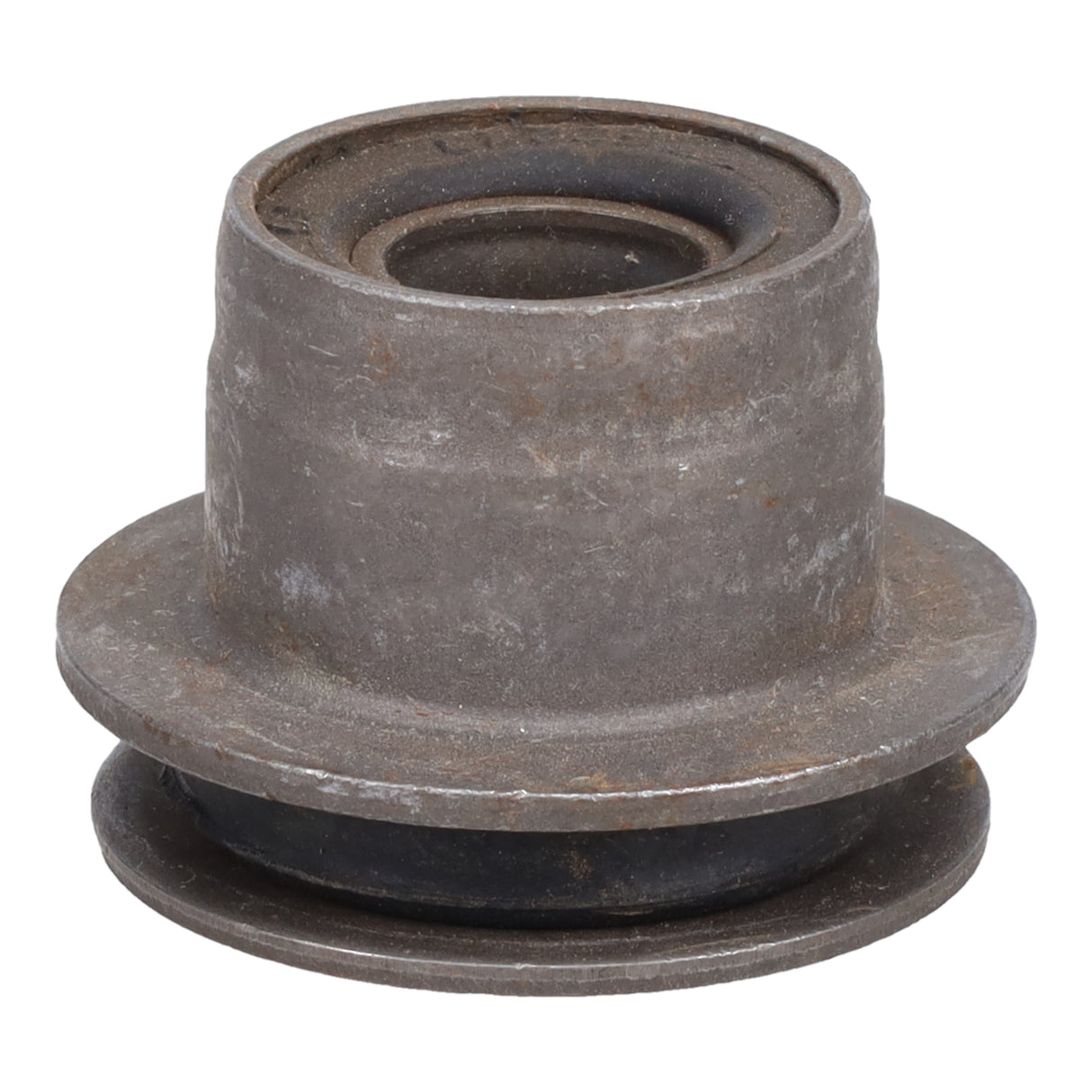 Trailing Arm Bushing