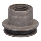 Trailing Arm Bushing