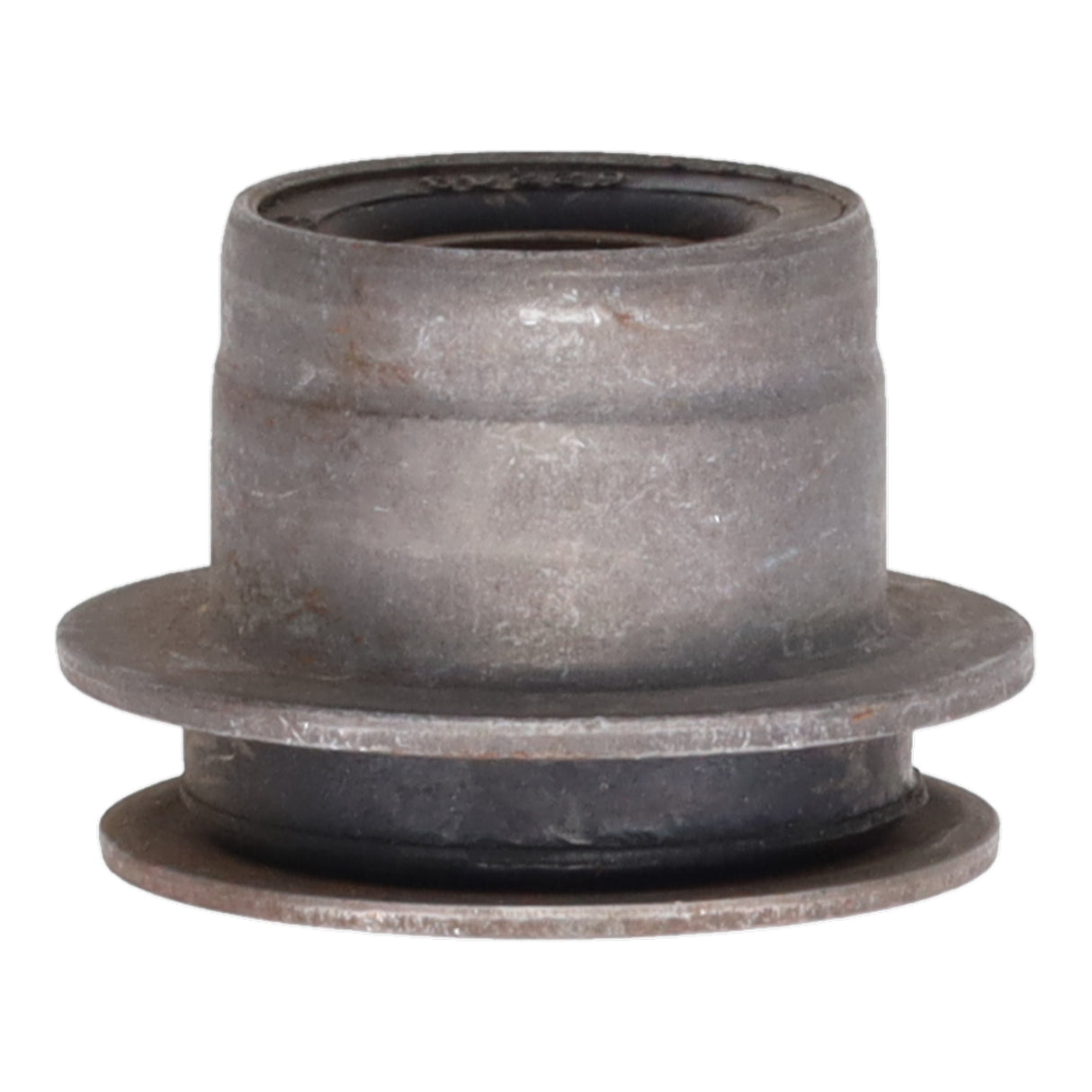 Trailing Arm Bushing