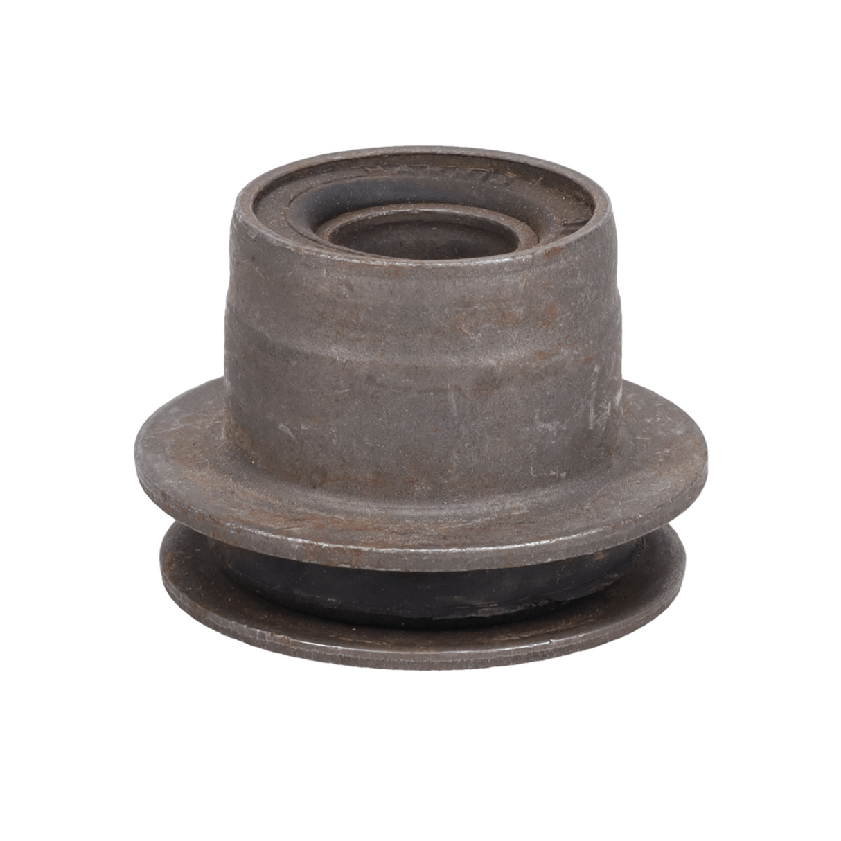 Trailing Arm Bushing
