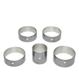 Cam Bearing Set