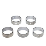 Cam Bearing Set