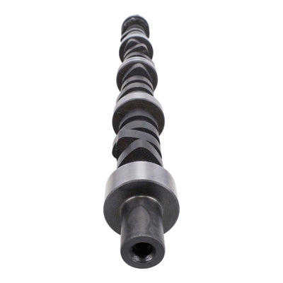 Camshafts & Valvetrain