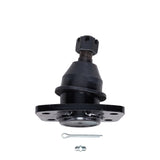 Trailing Arm Bushing Set