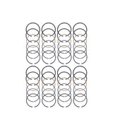 Piston Ring
