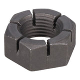 SPHN11676_3000_02.jpg