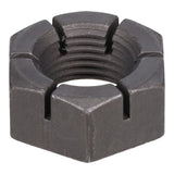 SPHN11676_3000_03.jpg