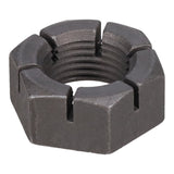 SPHN11676_3000_04.jpg