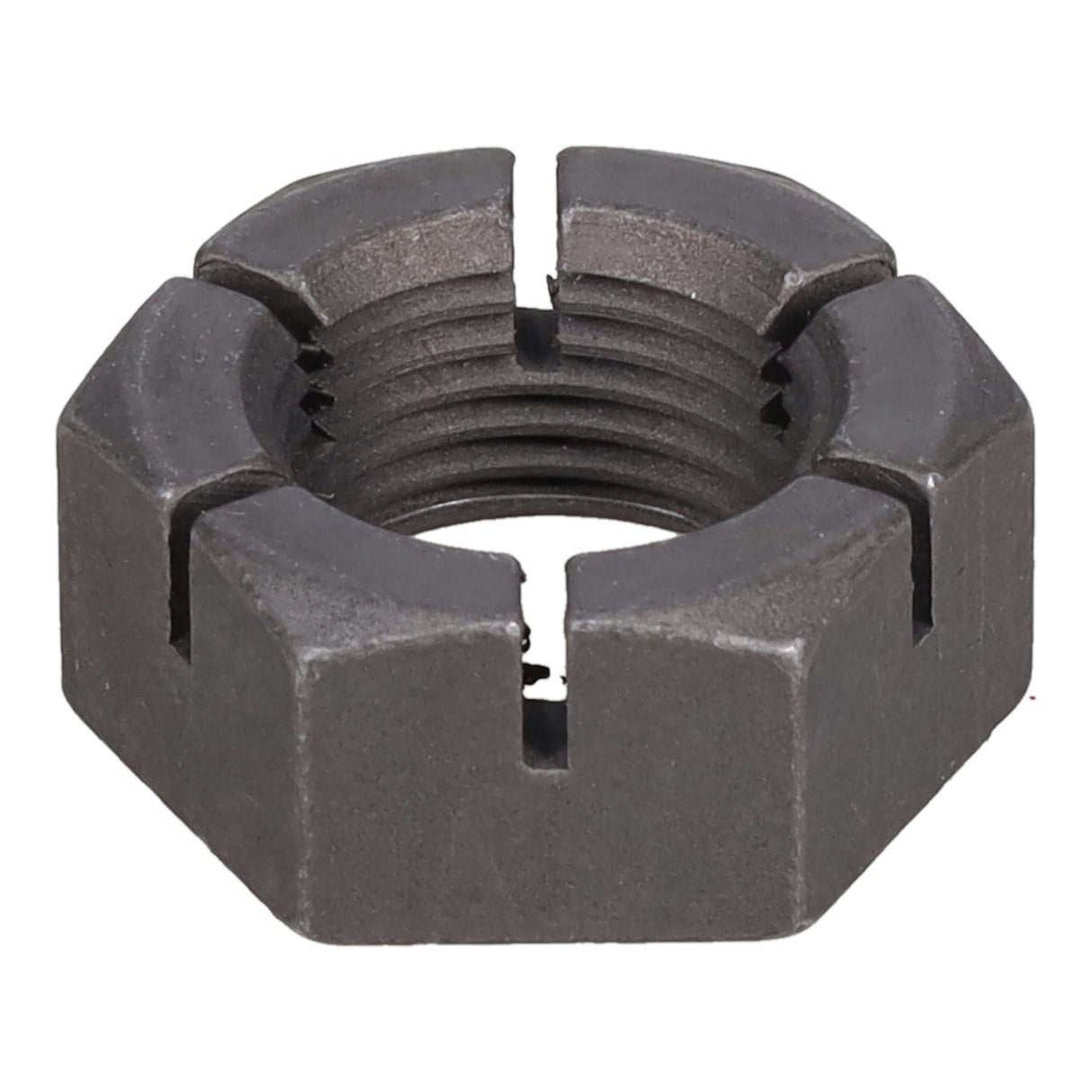 SPHN11676_3000_05.jpg