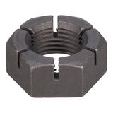SPHN11676_3000_05.jpg