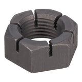 SPHN11676_3000_06.jpg
