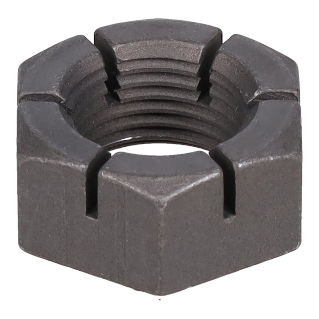 SPHN11676_3000_07.jpg