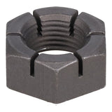 SPHN11676_3000_07.jpg