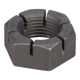 SPHN11676_3000_08.jpg