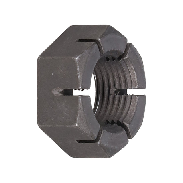 SPHN11676_3000_vertical02.jpg