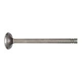 Exhaust Valve
