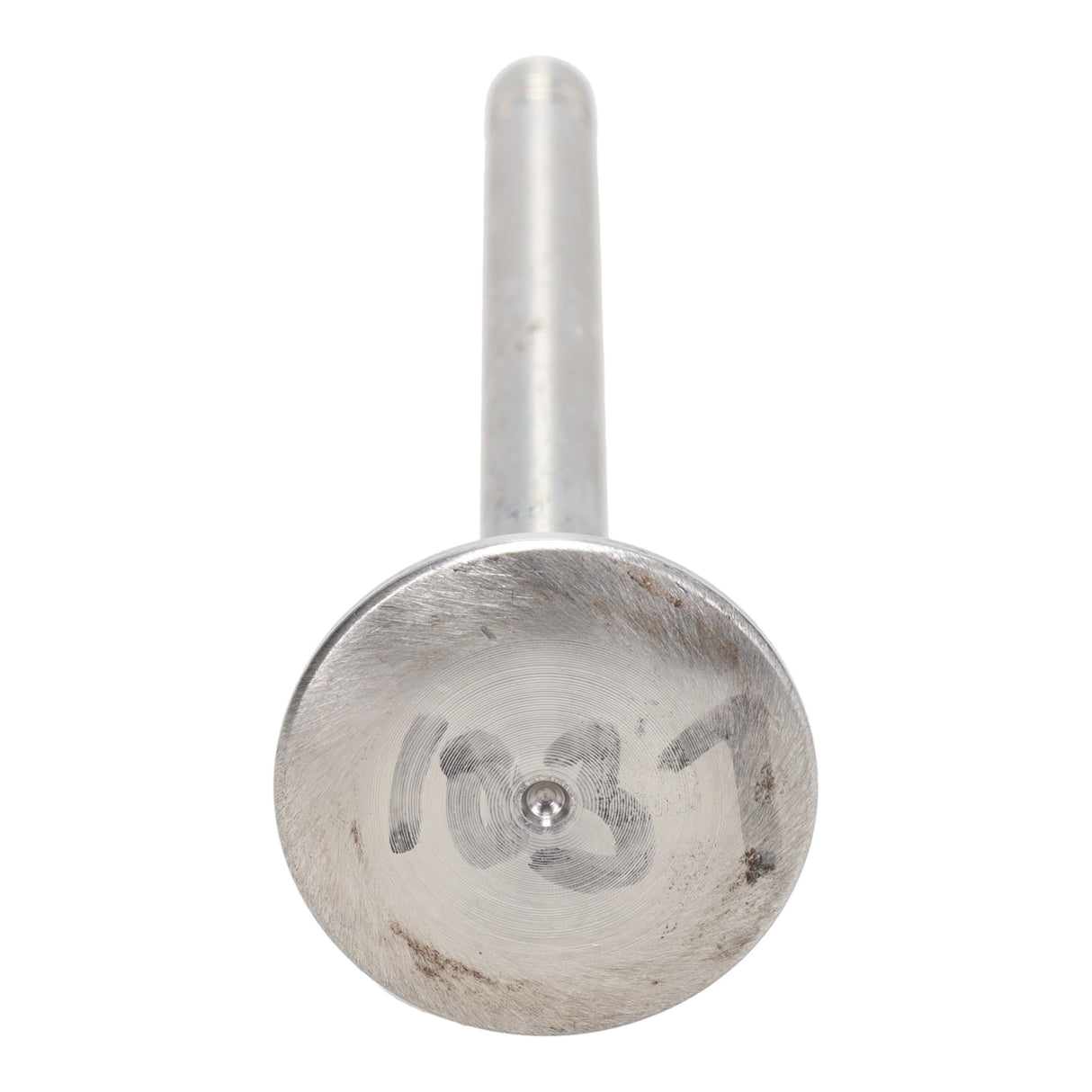 Exhaust Valve