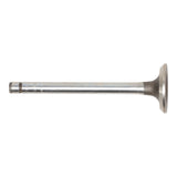 Exhaust Valve