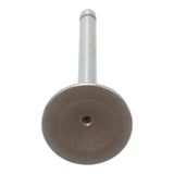 Exhaust Valve