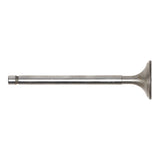 Exhaust Valve
