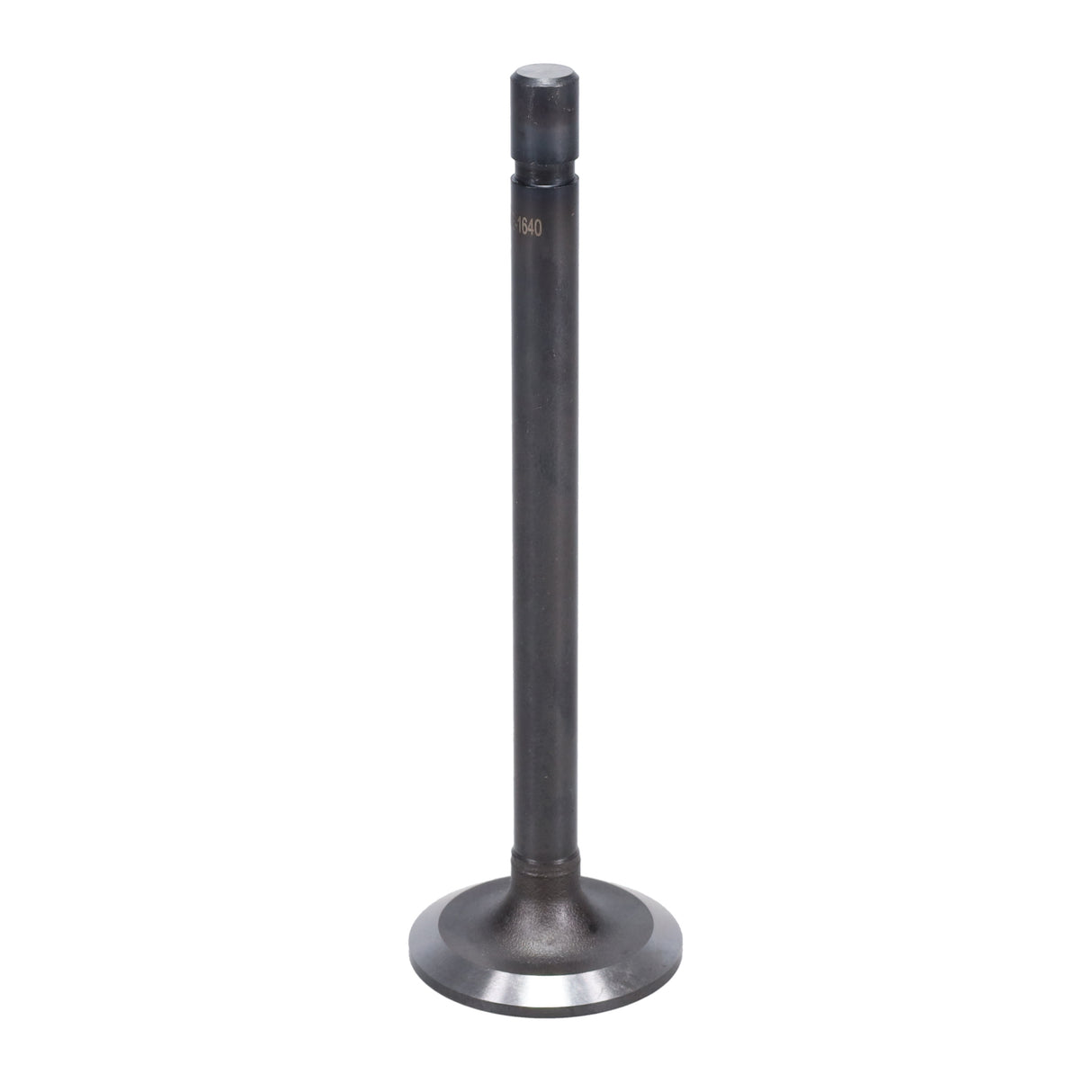 Exhaust Valve
