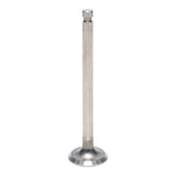 Exhaust Valve
