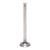 Exhaust Valve