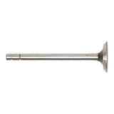 Exhaust Valve