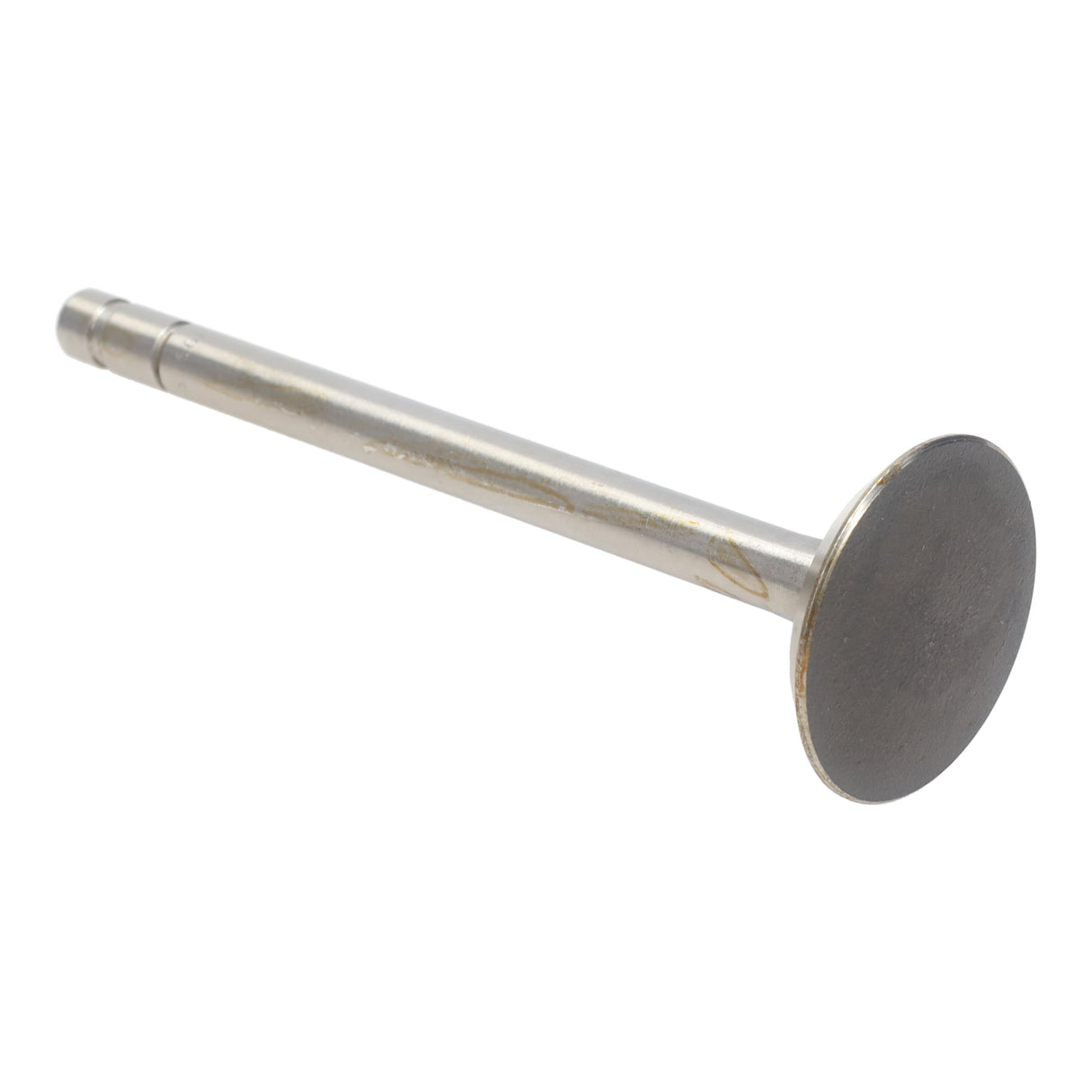 Exhaust Valve