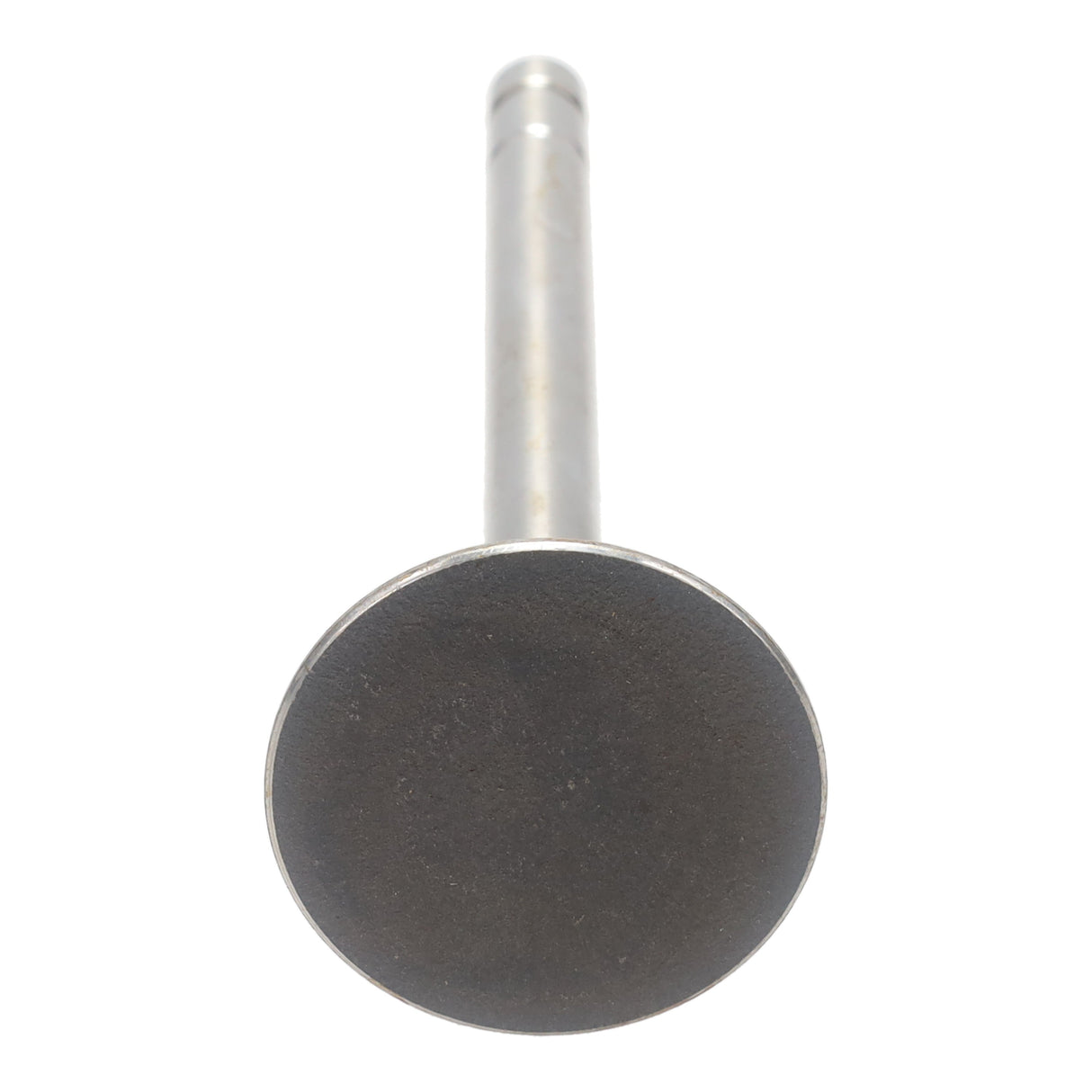 Exhaust Valve