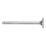 Exhaust Valve