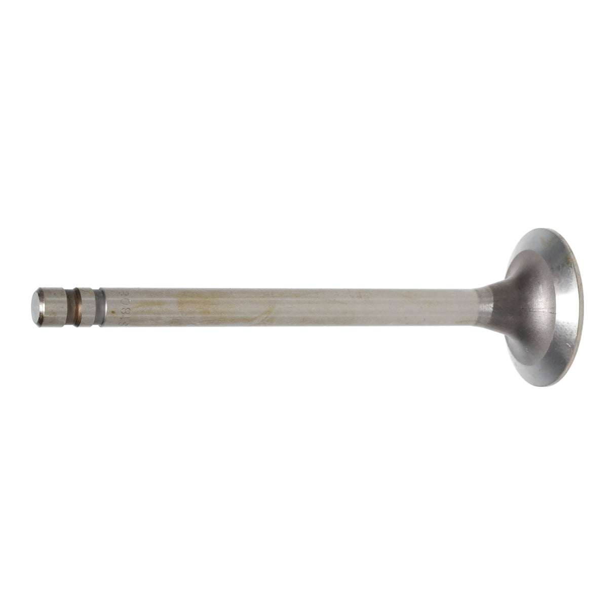 Exhaust Valve