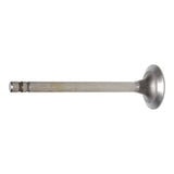 Exhaust Valve