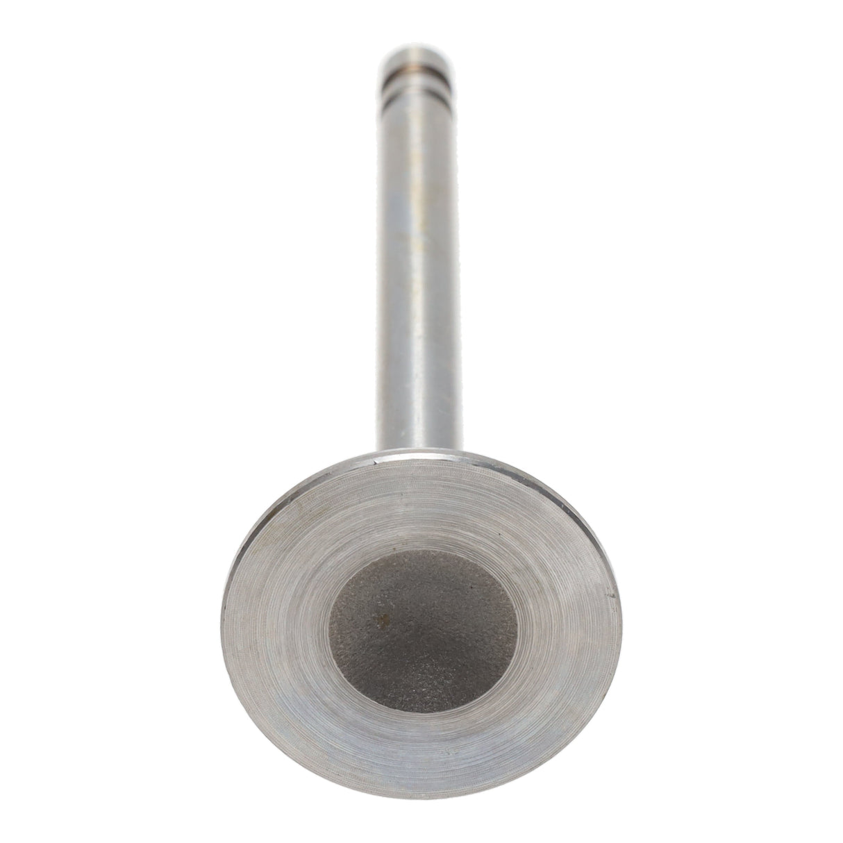Exhaust Valve