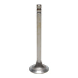 Exhaust Valve