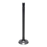 Exhaust Valve