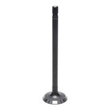 Exhaust Valve