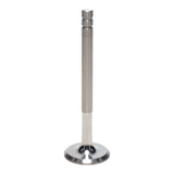 Exhaust Valve
